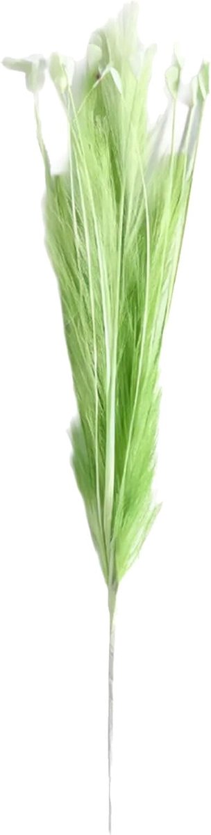 Kunst Pampa Gras - Decoratie Bloem - Feestelijke Decoratie - Realistische Uitstraling - 70 cm - Lichtgroen