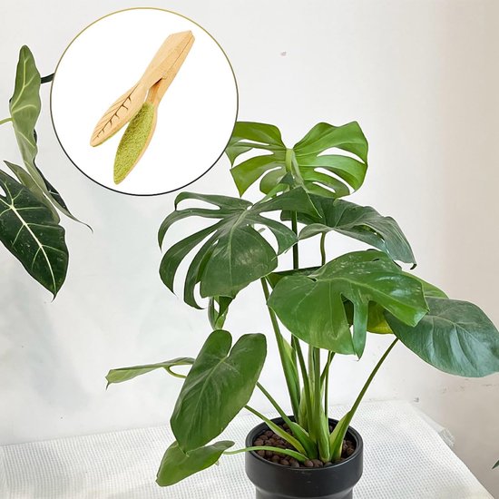 Houten bladreinigingstang, dubbelzijdige bladglansdoekjes voor kamerplanten, herbruikbare plantenverzorgingsdoek met ergonomisch handvat voor zachte stofverwijdering en huishoudelijke van Houten — afbeelding 3