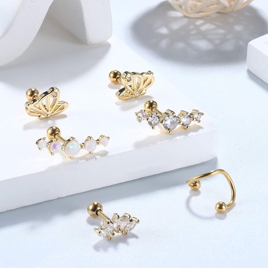 Oorbellen voor Vrouwen Hypoallergeen Helix Piercing Sieraden Kraakbeen Chirurgisch Staal Oorbellen Set Tragus Conch Neus Piercing Lip Neus Ring 16G — afbeelding 4