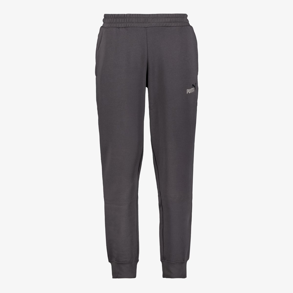Puma sportbroek ESS 2 COLOR No.1 Logo Sweatpants FL cl 684713 Grijs