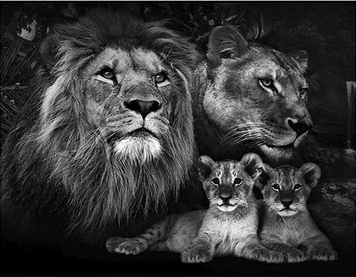 Diamond Painting Leeuw en Baby - 40 x 50 cm Schilderen op Nummer voor Volwassenen - Dieren Diamant Schilderij Parelfoto's