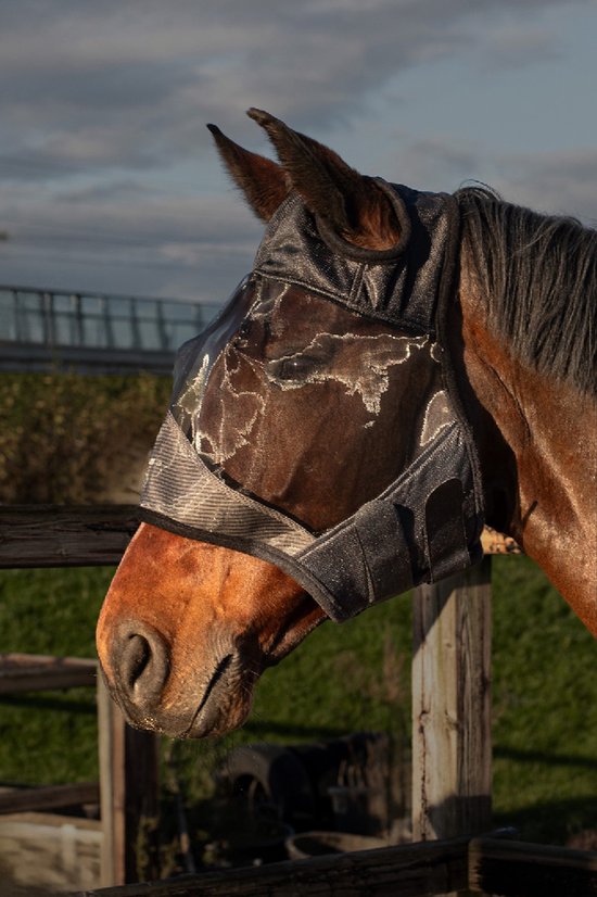 Bruin paard met zwart vliegenmasker, dat het ooggedeelte bedekt en een verhoogde neusbrug heeft.