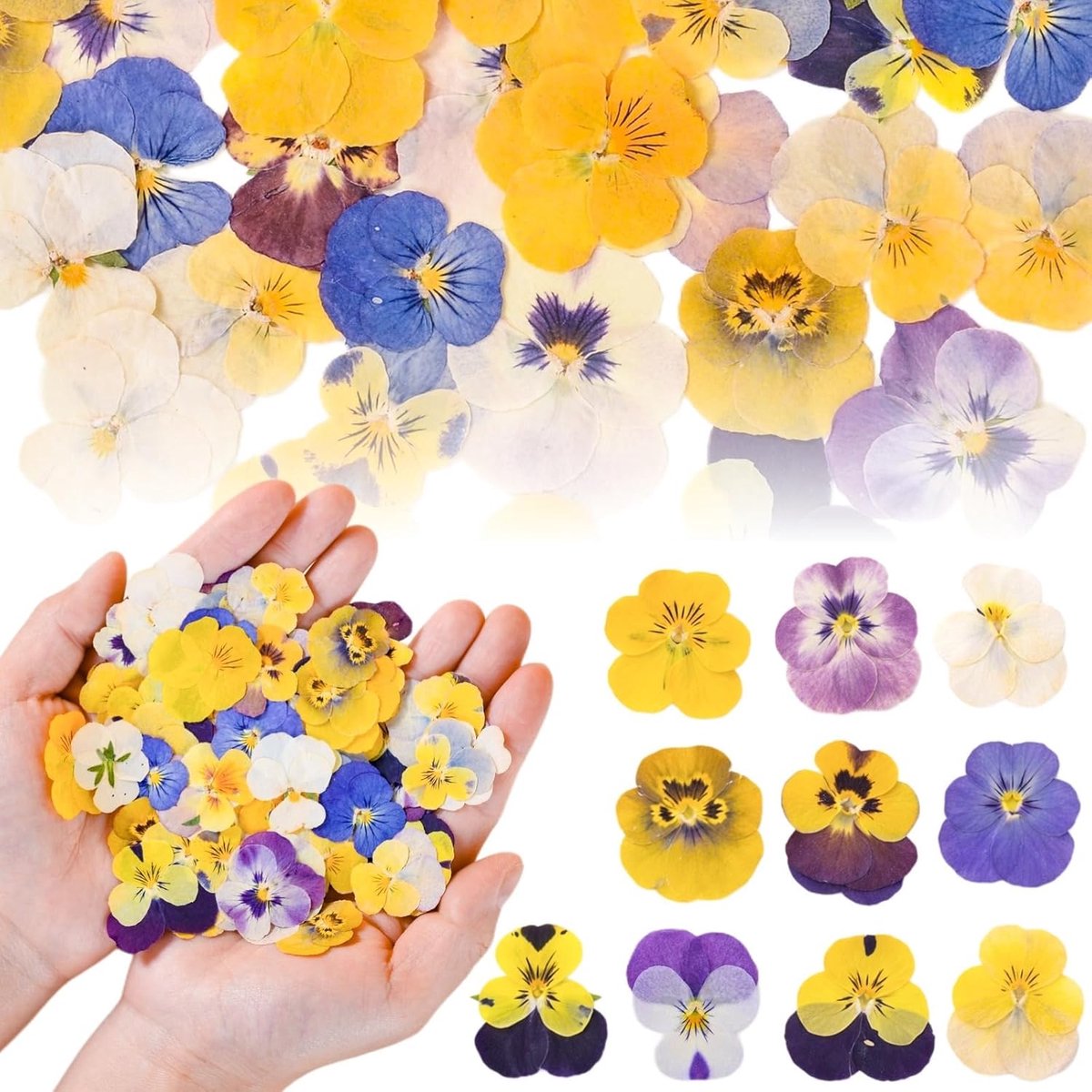 Edible bloemen 100 stuks - natuurlijke gedroogde viooltjes - kleurrijke decoratie voor taarten - SnelShoppen