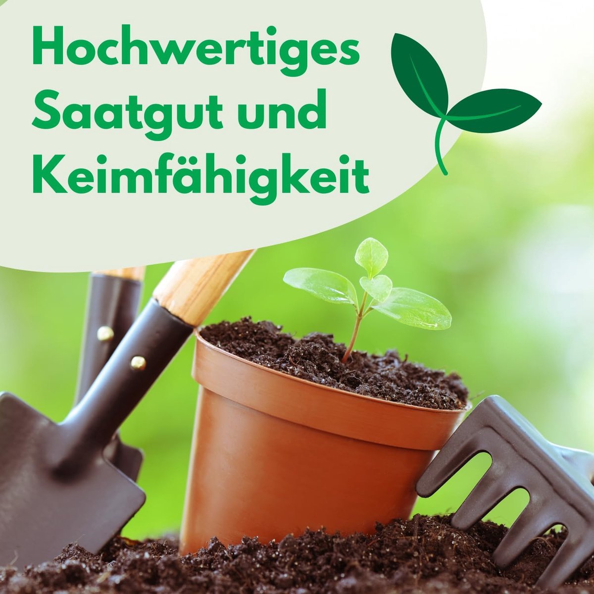 Tomatenzaden Uragan Hybride F1 0,1g - Robuuste Groentezaden - Ideaal voor Moestuin - Hoogwaardige Oogst - ShopVlot
