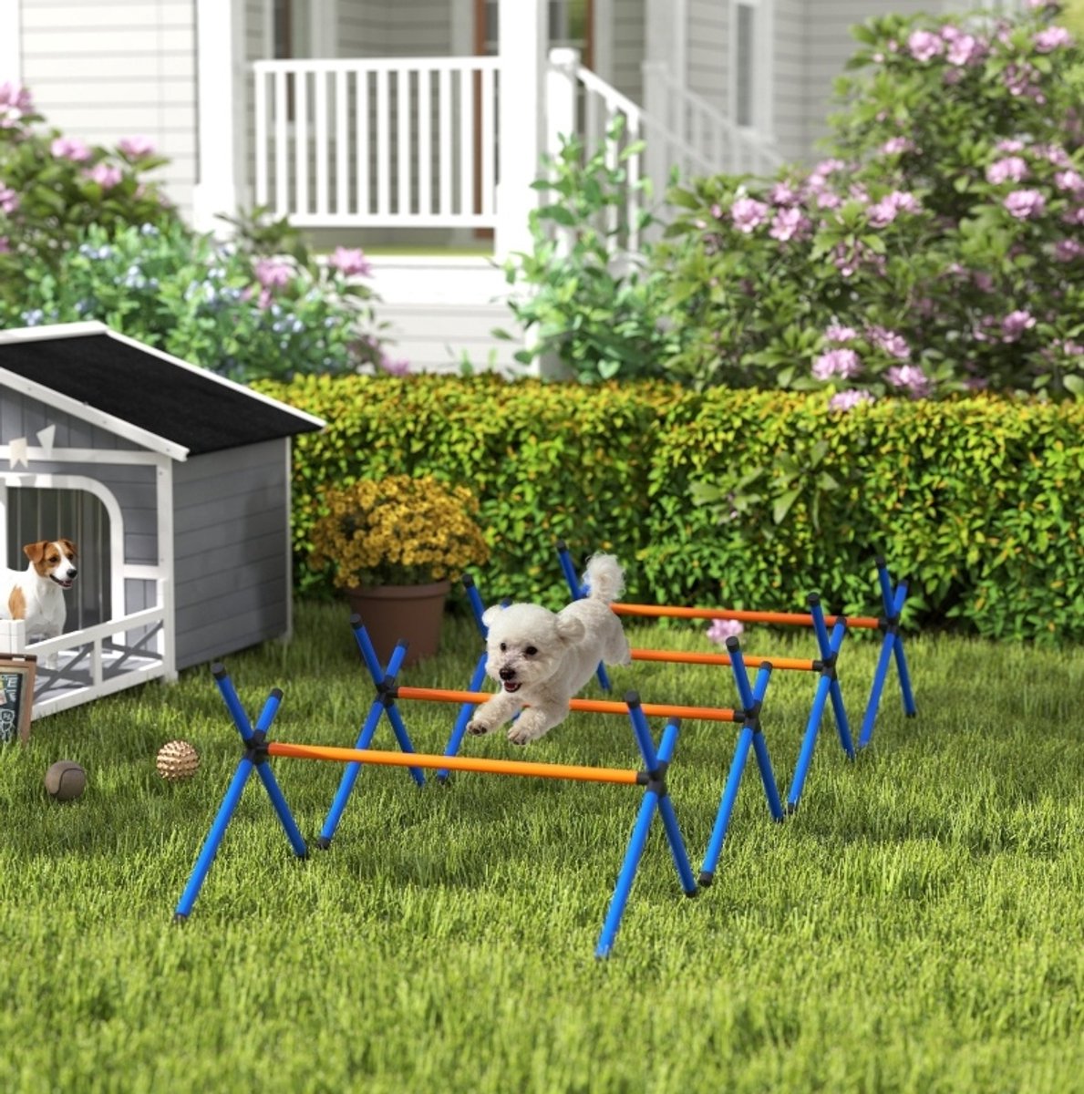 REDOM - Agility set voor honden - 4-delige horde - Verstelbare hoogte - Met draagtas - Voor binnen en tuin - Polyester - Oranje - 87 x 56 x 41 cm