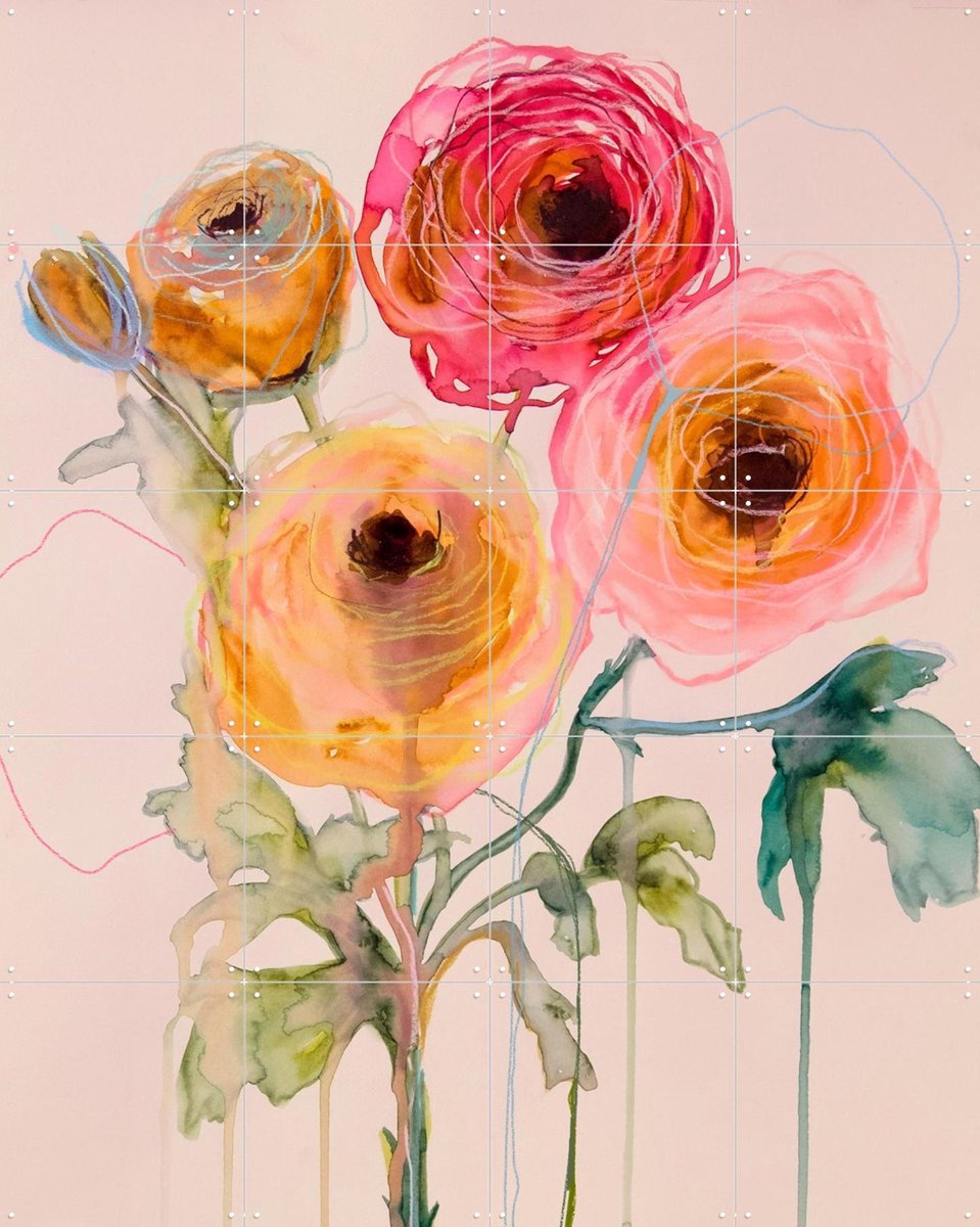 IXXI Ranunculus 06, Leigh Viner - 80 x 100 cm - Gratis ophangtool - Grote wanddecoratie en posters - Aquarel, Kleurrijk, Schilderijen, Abstract
