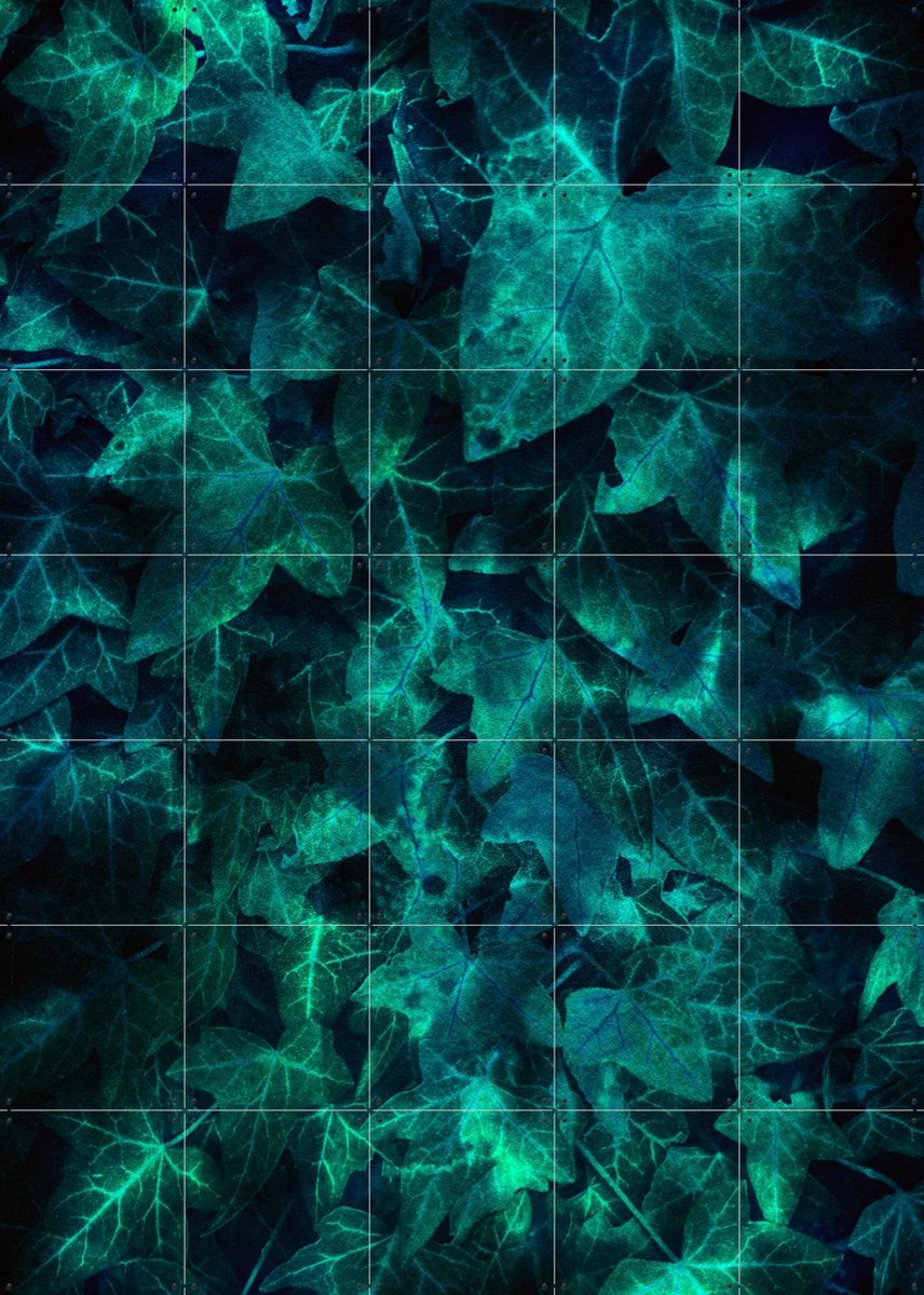 IXXI Ivy Teal, Angelo Cerantola - 100 x 140 cm - Gratis ophangtool - Grote wanddecoratie en posters - Modern, Minimalisme, Digitale Kunst, Abstract