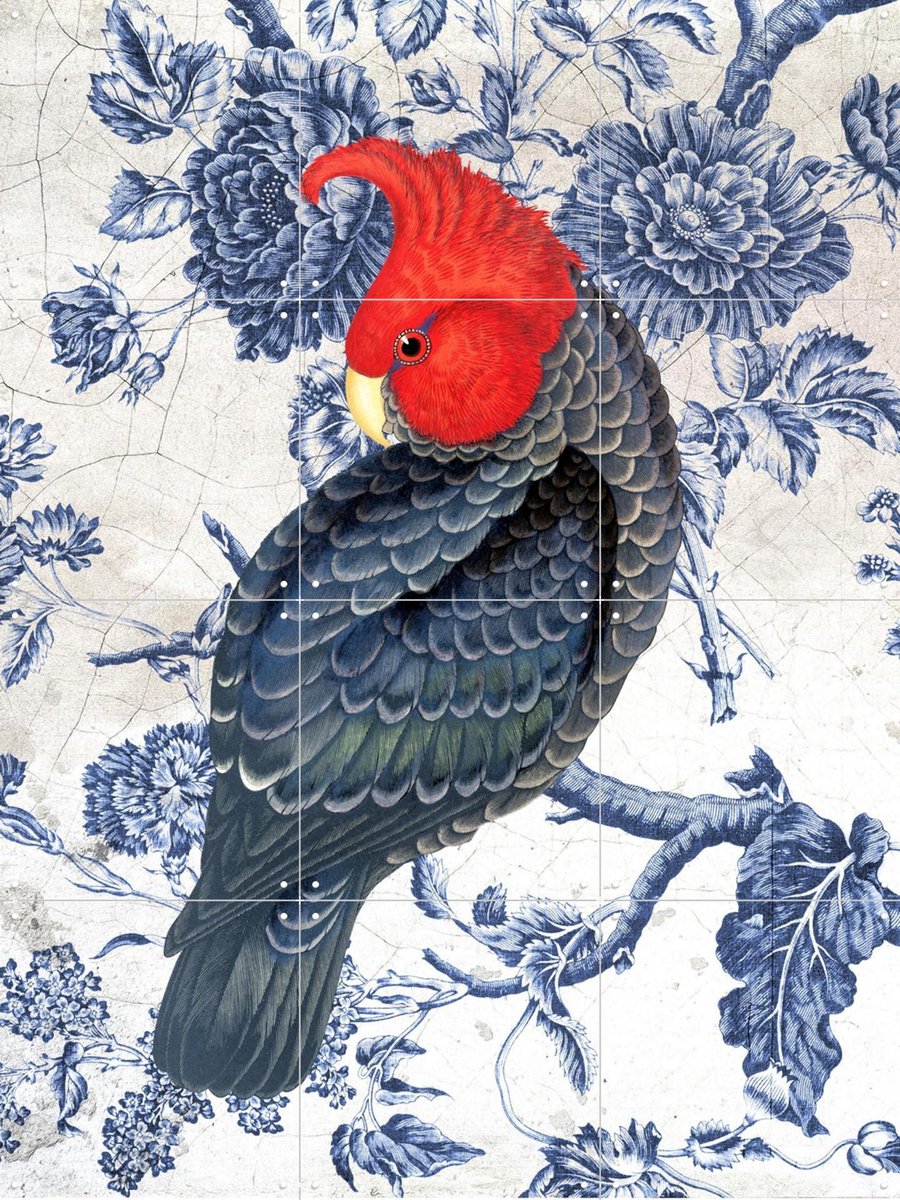 IXXI Chinoiserie Cockatoo, Marja van den Hurk - 60 x 80 cm - Gratis ophangtool - Grote wanddecoratie en posters Woonkamer, Gang, Eetkamer, Vogels