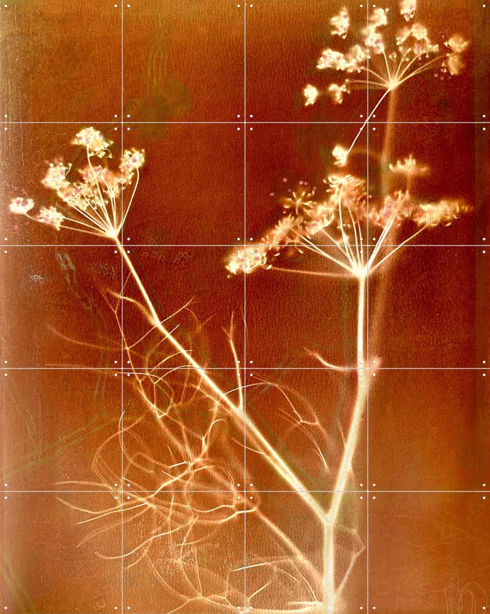 IXXI Heaven And Earth, RAR Kramer - 80 x 100 cm - Gratis ophangtool - Grote wanddecoratie en posters - Surrealisme, Abstract, Fotografie, Woonkamer