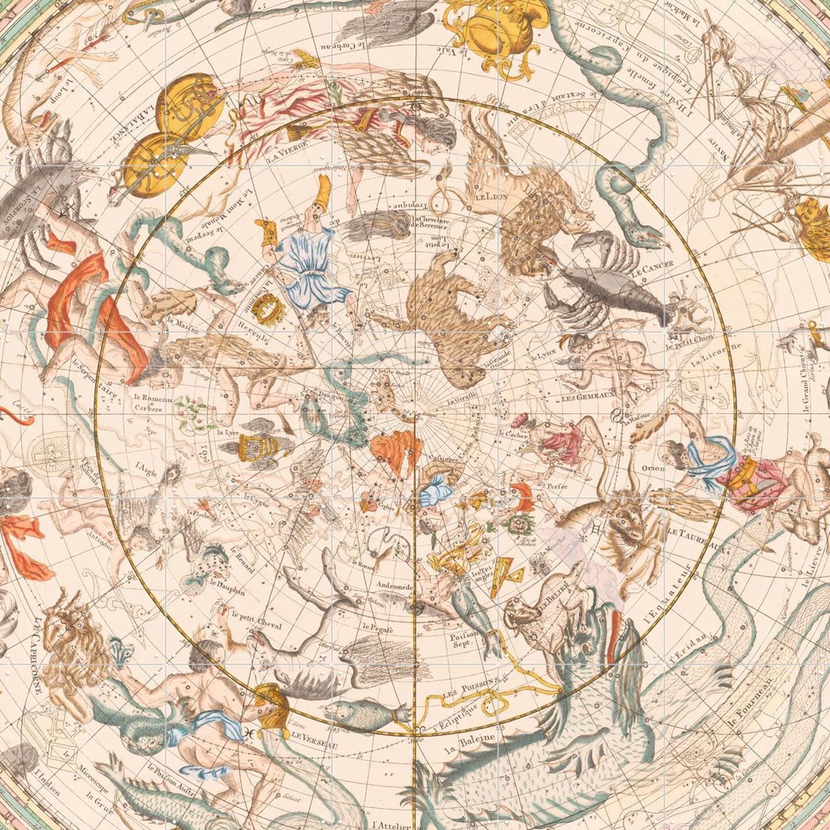 IXXI Celestial Map Vintage Zodiac And Astrology, Aster Edition - 100 x 100 cm - Gratis ophangtool - Grote wanddecoratie en posters - Klassiek