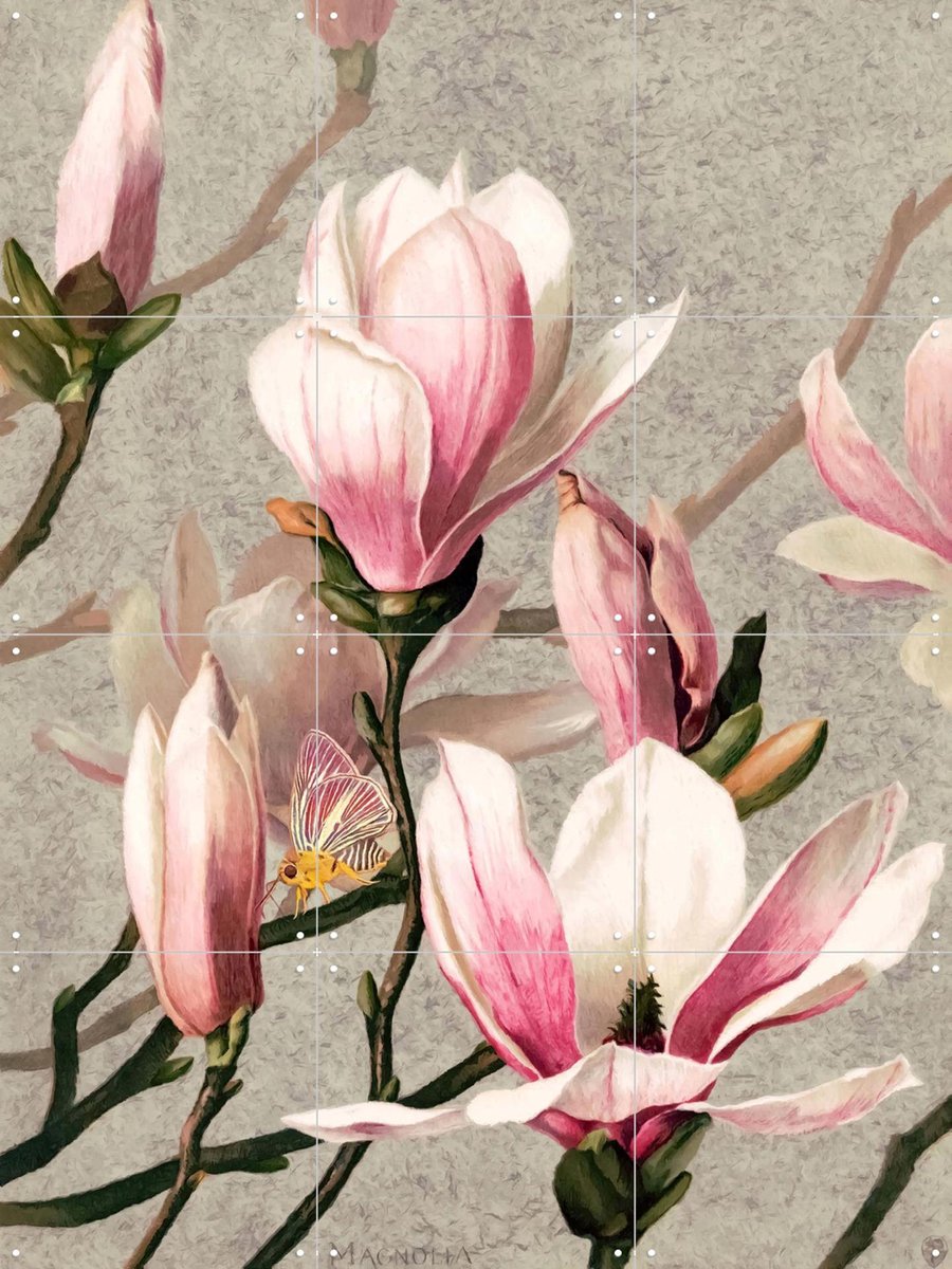 IXXI Magnolia, Moonheart Artworks - 60 x 80 cm - Gratis ophangtool - Grote wanddecoratie en posters - Vintage, Woonkamer, Slaapkamer, Bloemen