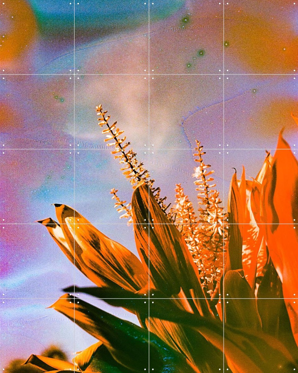 IXXI On the Bright Side, Amber Lauder - 80 x 100 cm - Gratis ophangtool - Grote wanddecoratie en posters - Kleurrijk, Gemengde Technieken, Woonkamer