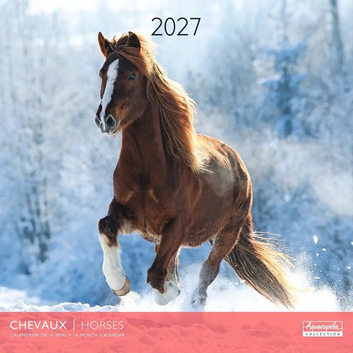 Paarden Kalender 2027