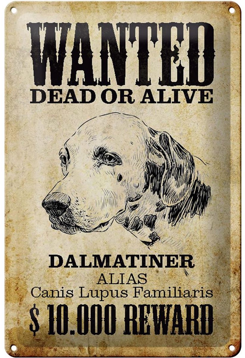 Blechschild Hund 20x30cm wanted dead Dalmatiner Schild