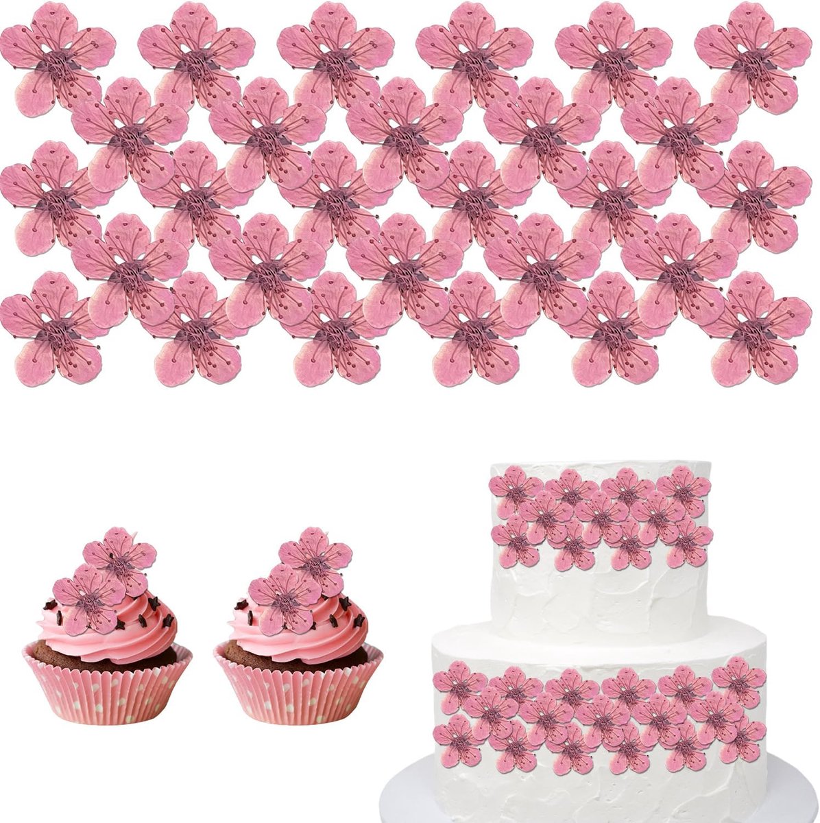 Gedroogde Bloemen Taart Decoratie, Geperste Bloesems voor Ambachten, Gebak, Cupcakes en Desserts (Roze Perzikbloesem)