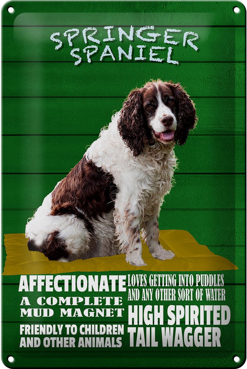Blechschild Spruch 20x30cm Springer Spaniel Hund friendly