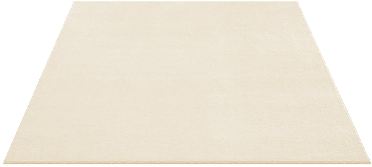 Tapijt – 160 x 230 cm – woonkamertapijt – Beige