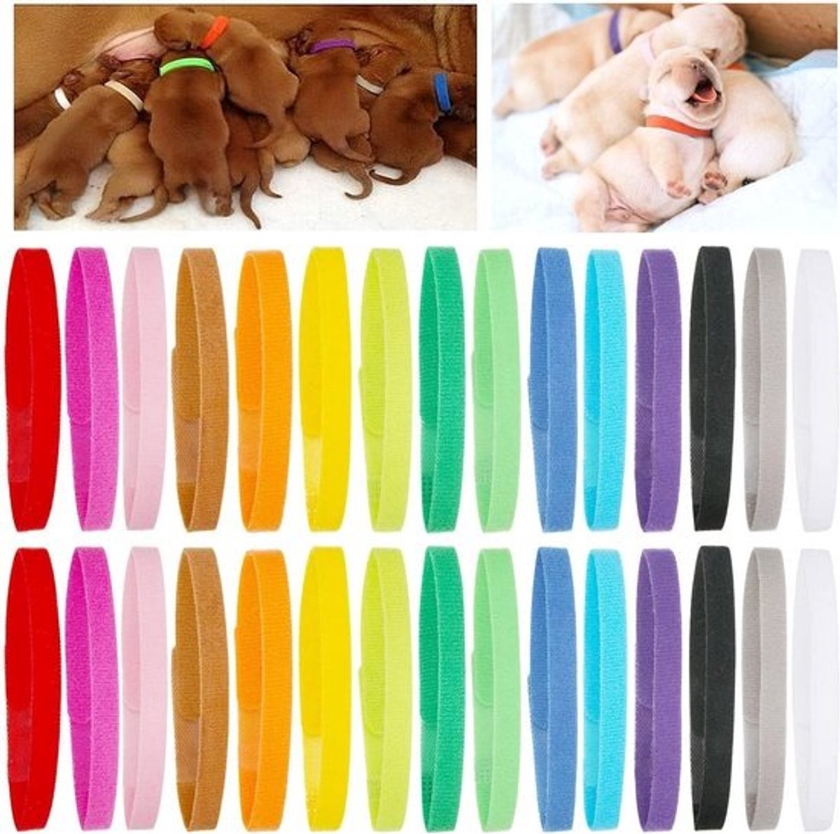 30 Verstelbare Puppy Halsbanden Set voor Pasgeboren Honden en Katten - Zachte ID Bandjes
