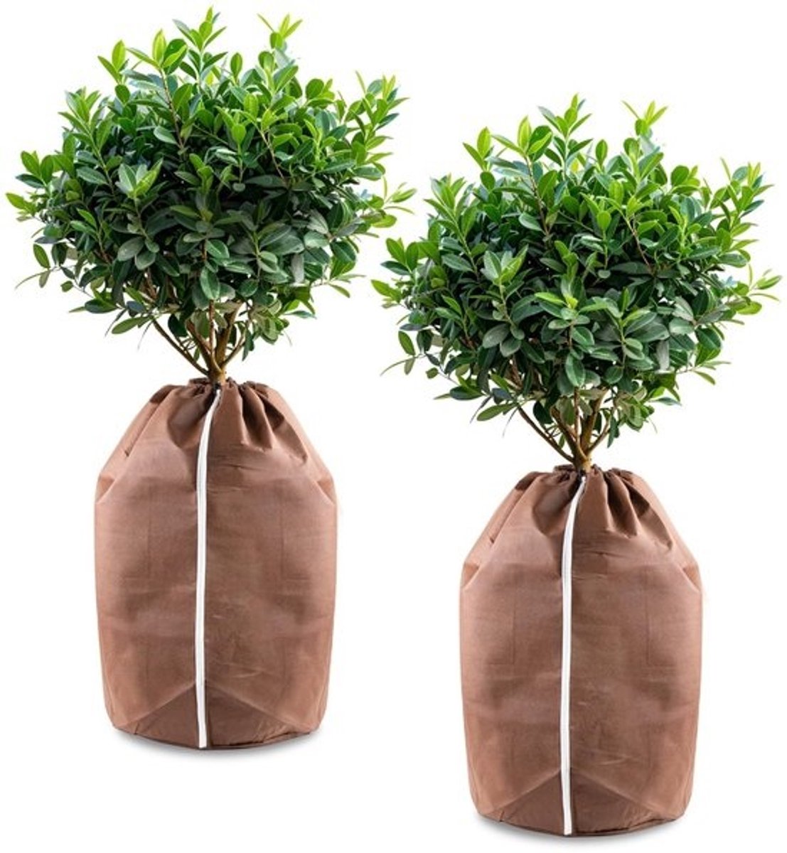 Dailygoods- Plantenbak Winterbescherming - Plantenbak met Isolatie - Bescherming voor Planten - Vliesstof - 50 x 80 cm - 2 Stuks - Plantenbeschermzak