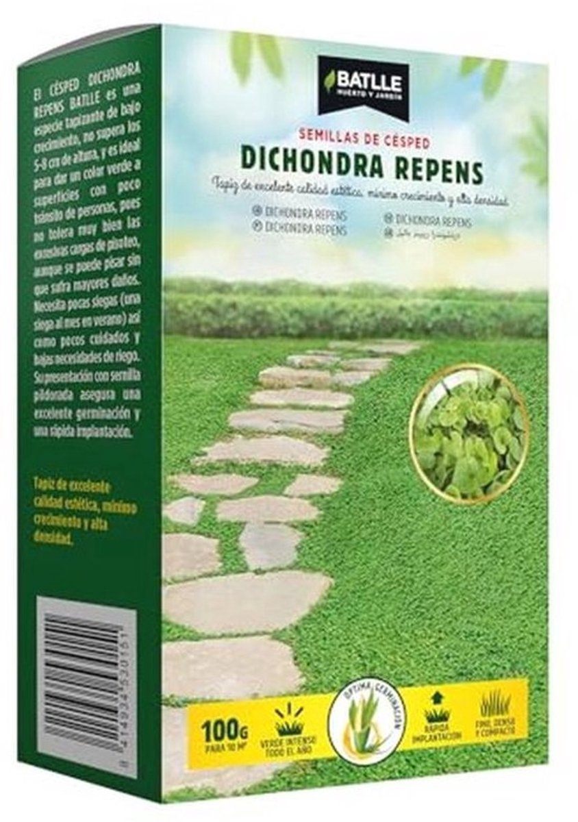 Dichondra repens: Perfecte Bodembedekker voor Tuinen en Gazons