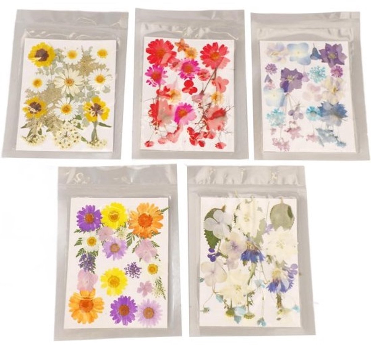 Allecta - Geperste Bloemen Bulk, Gedroogde Bloemen, Eetbare Bloemen, Kleurrijke Gedroogde Bloemen Scrapbooking Ambachten DIY