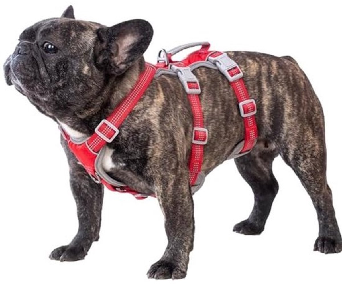Reflecterende Uitbreek Veilige Hondentuig voor Kleine Honden