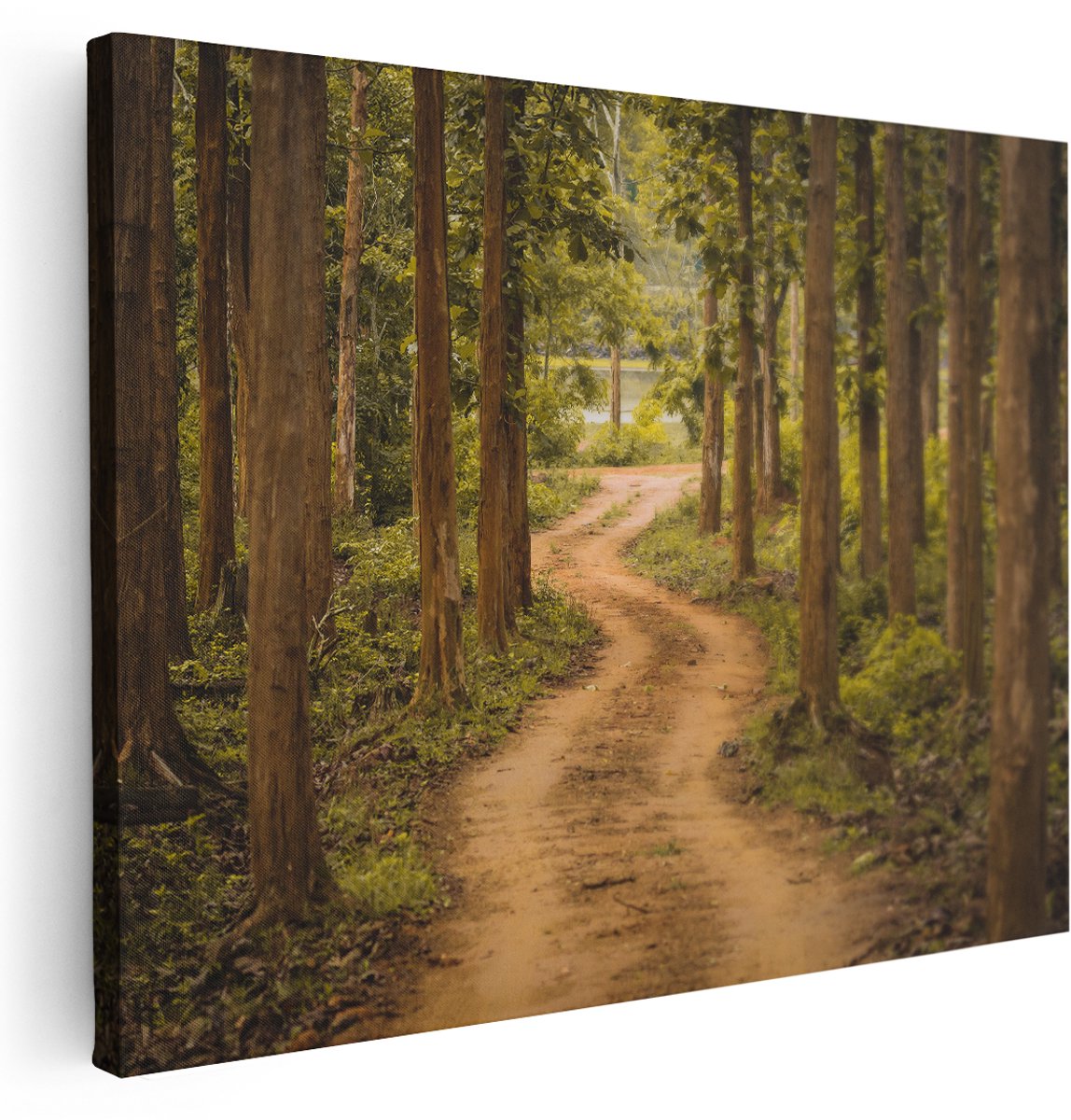 Artaza Canvas Schilderij Pad In Het Bos Met Bomen - 160x120 cm - Groot - Wanddecoratie Woonkamer - Schilderijen - Muurdecoratie