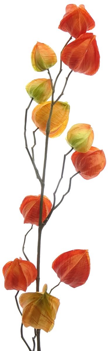 Gasper Lampionplant Physalis oranje 80 cm - kunstbloemen