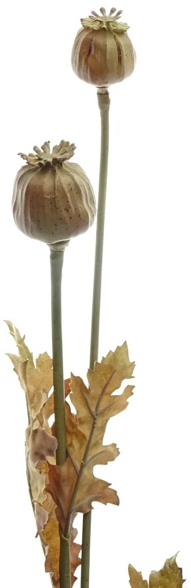 Gasper Herfstdecoratie Klaproostak Lichtbruin 74 cm - Kunstbloemen