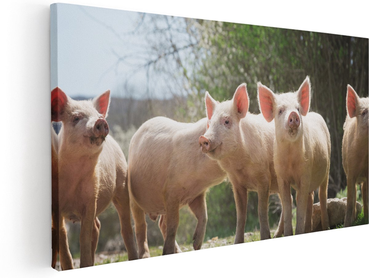 Artaza Canvas Schilderij Groep Jonge Varkens - 160x80 cm - Groot - Wanddecoratie Woonkamer - Schilderijen - Muurdecoratie