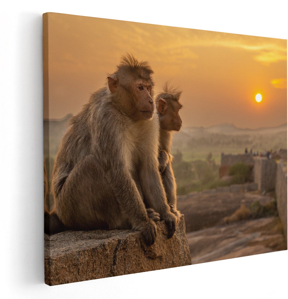 Artaza Canvas Schilderij Twee Apen Bekijken De Zonsondergang - 150x120 cm - Groot - Wanddecoratie Woonkamer - Schilderijen - Muurdecoratie