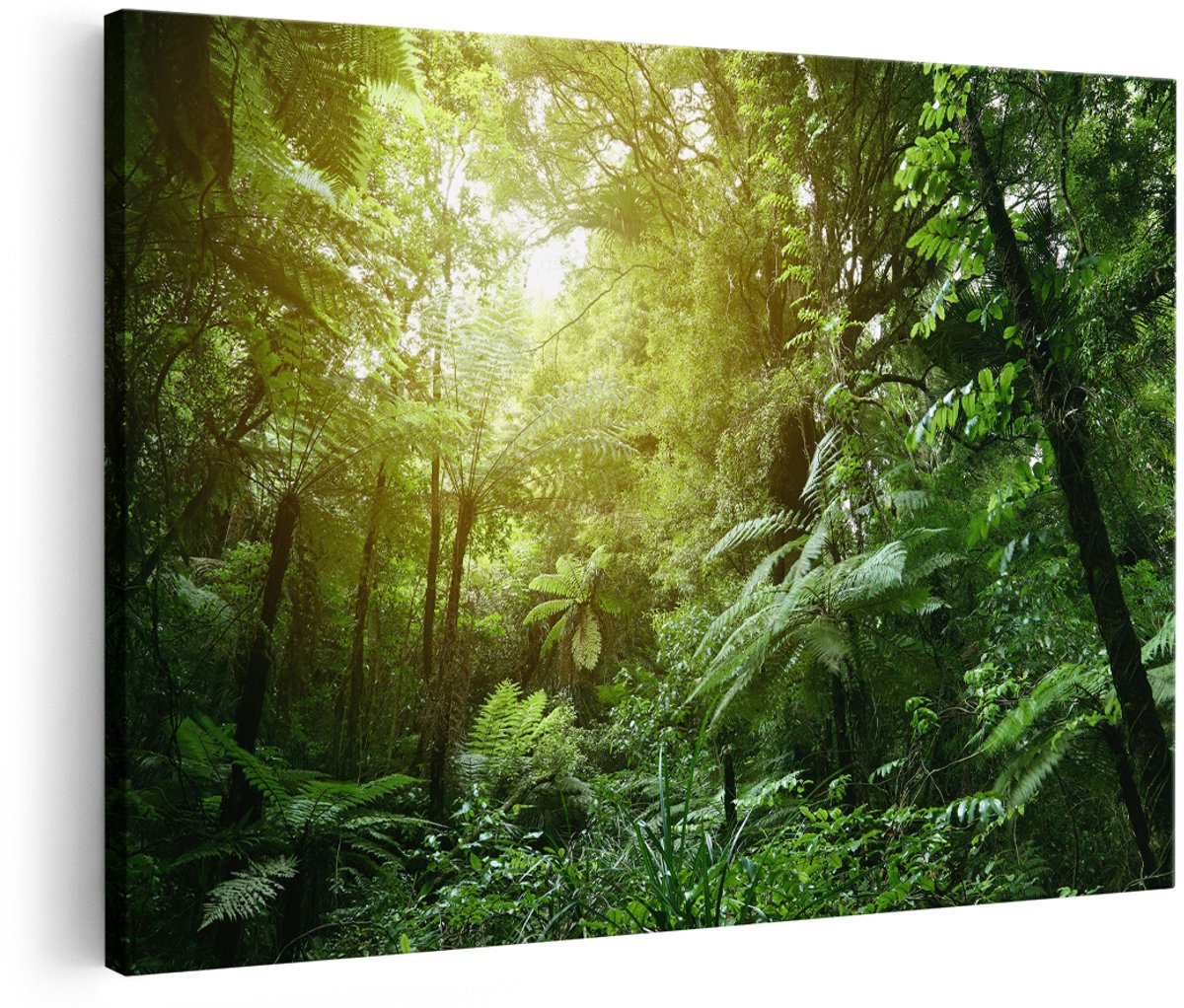 Artaza Canvas Schilderij Tropische Jungle Met Zonneschijn - 150x100 cm - Groot - Foto Op Canvas - Wanddecoratie Woonkamer