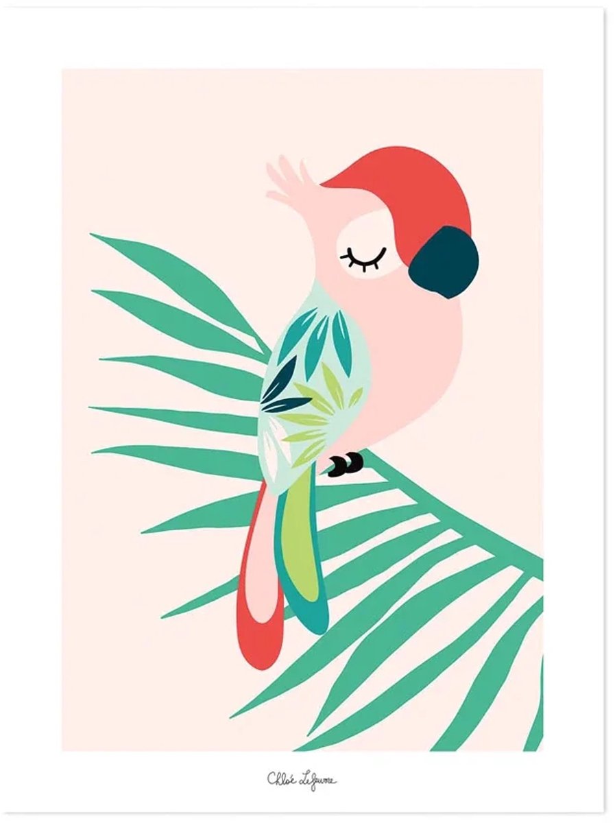 Lilipinso poster slapende papegaai roze rood groen