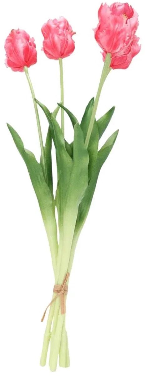 House of Nature Tulpen boeket roze met franjes