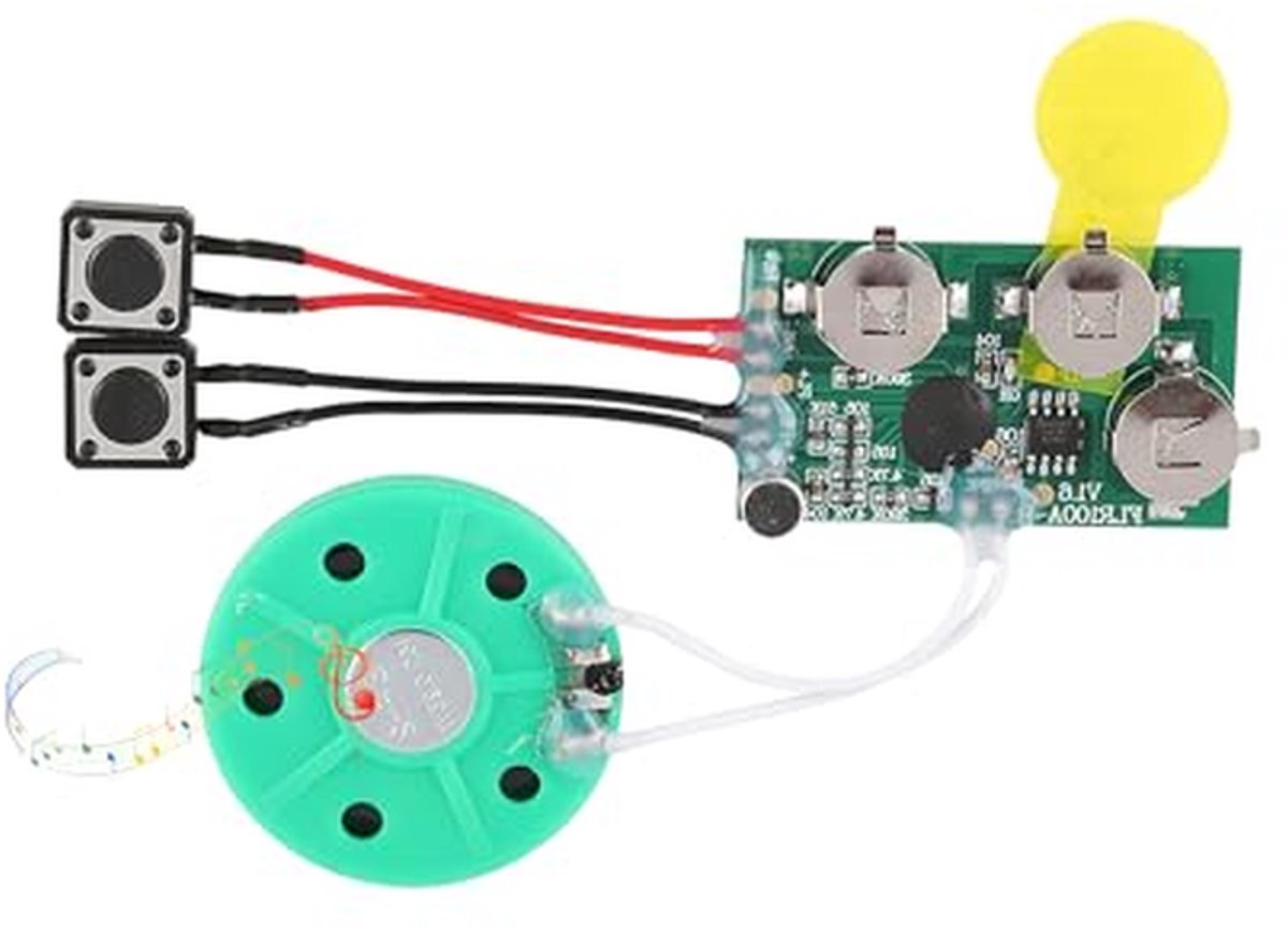 Spraakmodule - Muziekchip - Wenskaarten maken - 120 seconden opname - 46 x 27 mm - Niet gespecificeerd