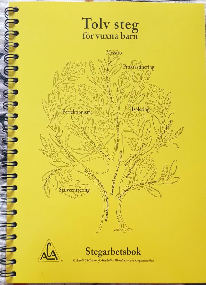 Dailygoods- Werkboek Volwassen Kinderen - Spiral Binding - Zelfhulpboek - Oefeningen - Vragenlijsten - Groepstudies - Geschreven door ACA Fellowship