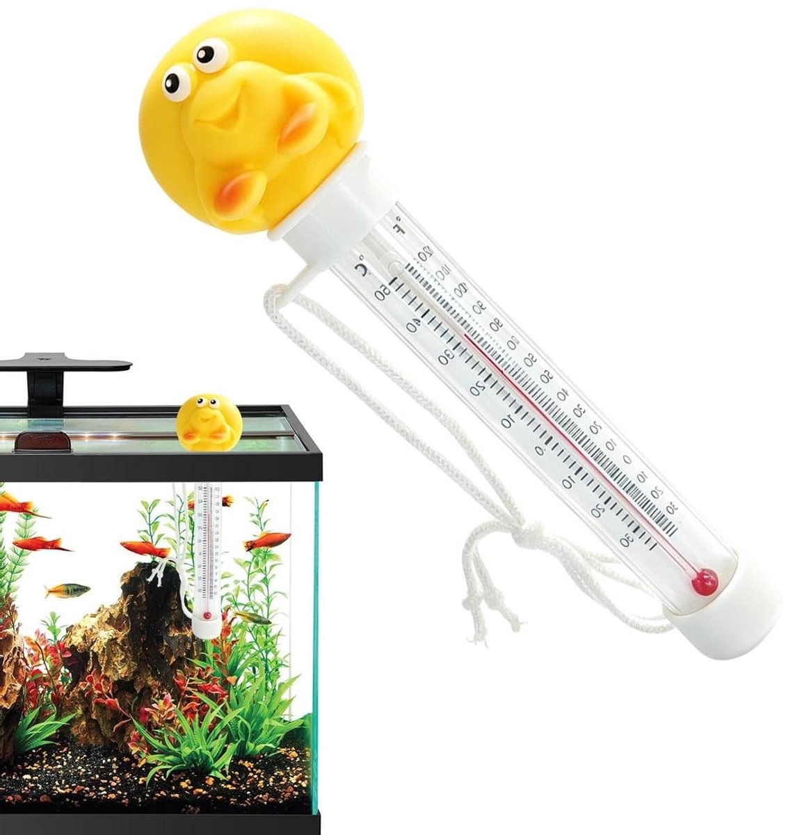 Drijvende Zwembad Thermometer - Cartoon Watertemperatuurmeter - Water Temperatuur Meten - Duidelijk Afleesbaar Display - 19 Centimeter - Schelp