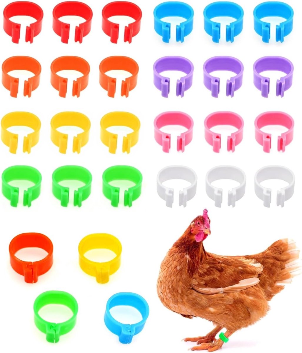SnelShoppen - 24 Stuks 16mm Multi-Kleurige Plastic Kippen Voet Ringen, Kippen Identificatie Pootbanden, Kippen Leg Tags, Kippen Poot Armband, Kippen C