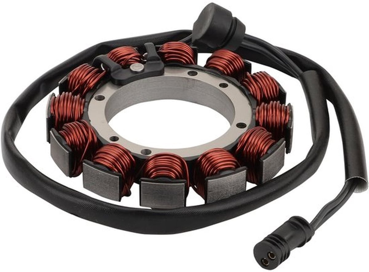 Magneet Stator Vervanging 12 Spoel - 2 Draad - Compatibel met XL883N/XL883L/XL1200NS - OEM 29900068 - Hoogwaardige Kwaliteit - Voor 2019-2022 Modellen - Motorstator