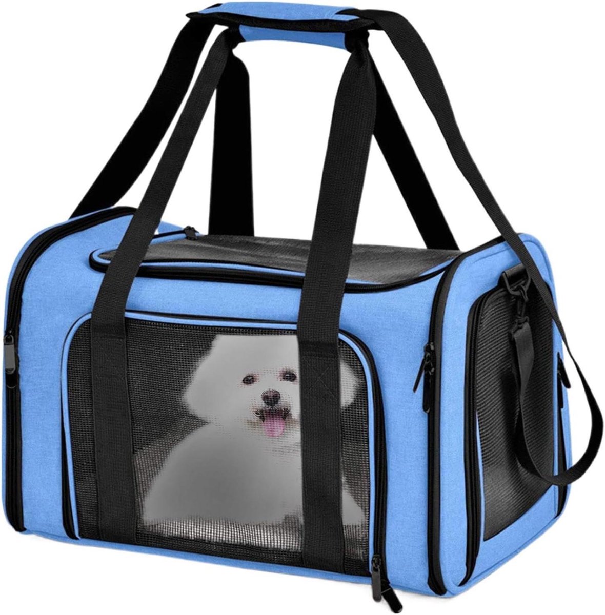 Katten Transportdrager - Huisdier Reistas - Veilig Reizen - Ademend Mesh Materiaal - 40x25x25 cm - Blauw