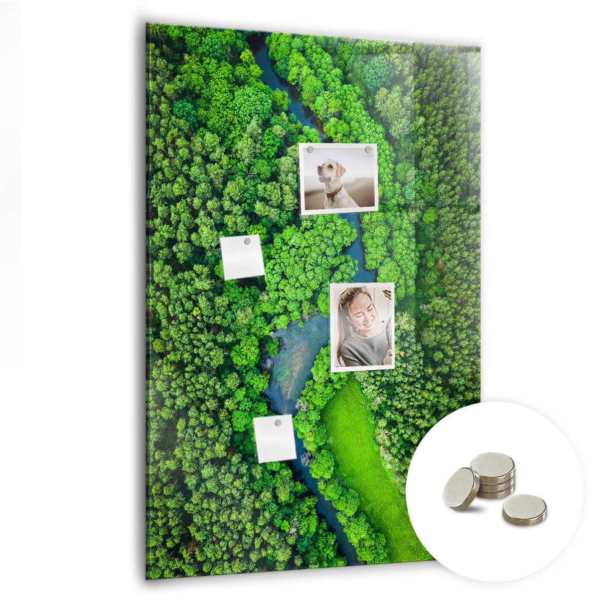 Coloray Glazen Magneetbord - Magnetisch Bord Zonnebloempitten - 70x100 cm - Groente Magneetbord - Magnetic Board - Woonkamer Decoratie