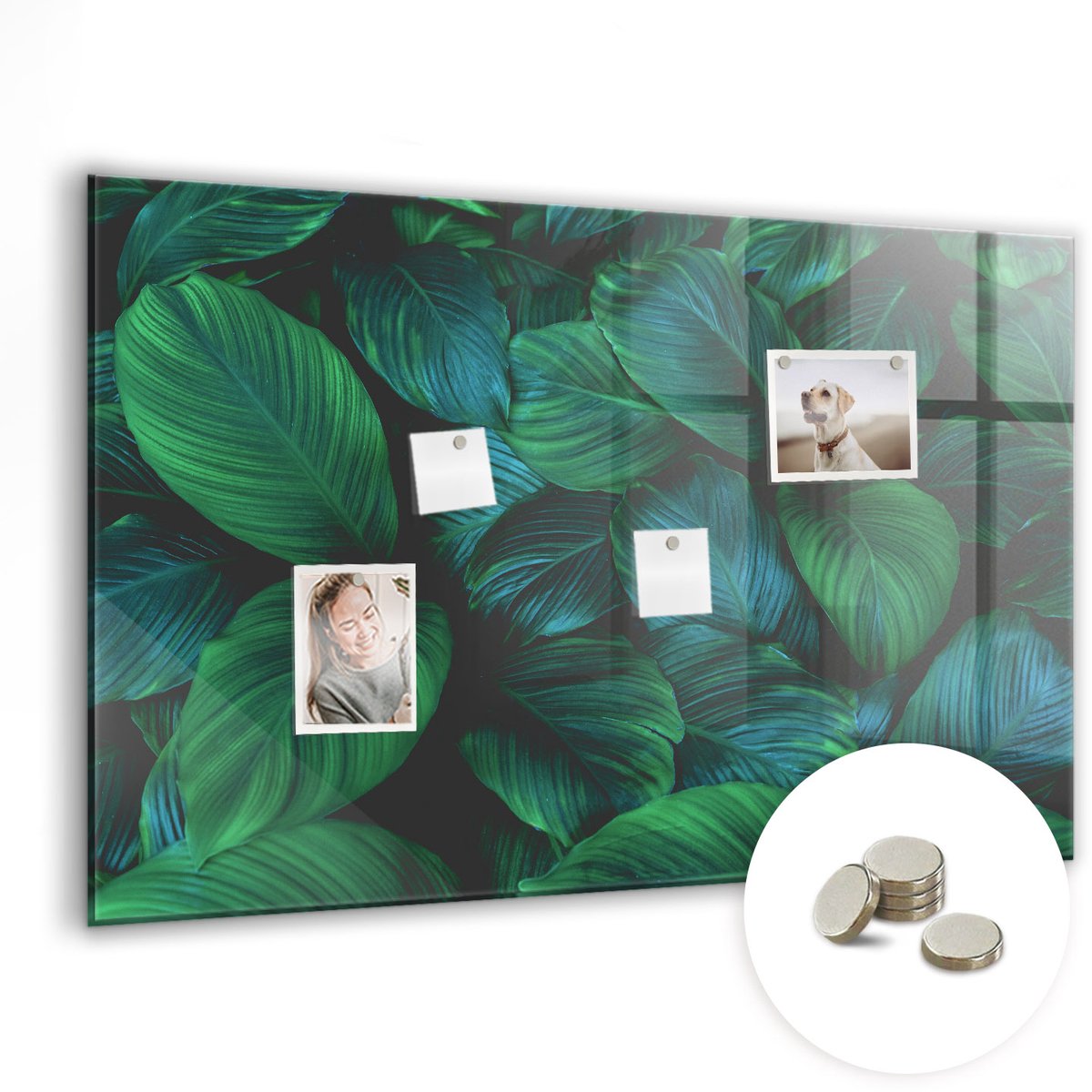 Coloray Glazen Magneetbord - Magnetisch Bord Merenlandschap - 90x60 cm - Groente Magneetbord - Magnetic Board - Memobord