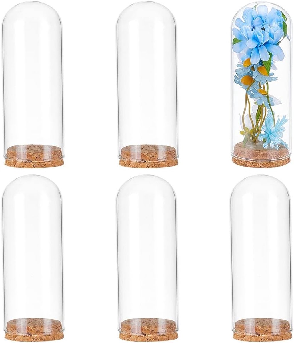 SnelShoppen - 6 Decoratieve Glazen Koepels met Kurkdop - 12x4,7 cm - Perfect voor Bloemen, Specimens en Ambachtelijke Decoraties - Duurzaam Glas - DIY