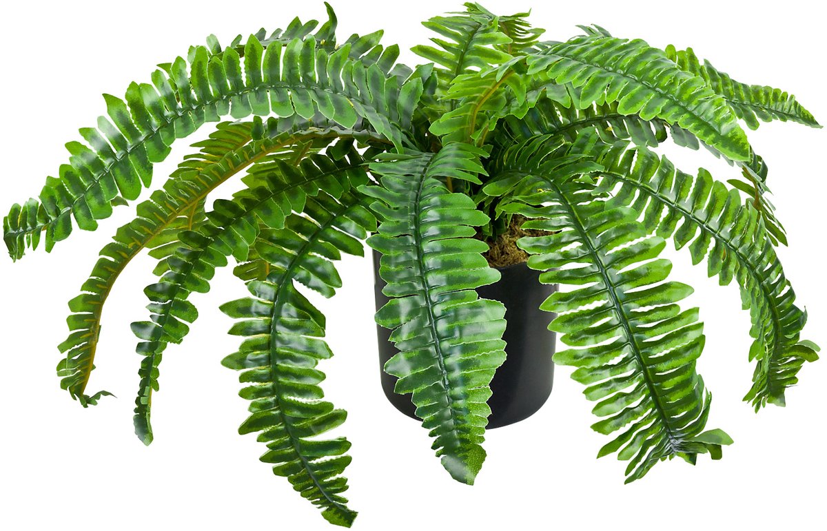 Kunstmatige Valse Varen Plant Decoratie Bininnen 45cm DECOVEGO