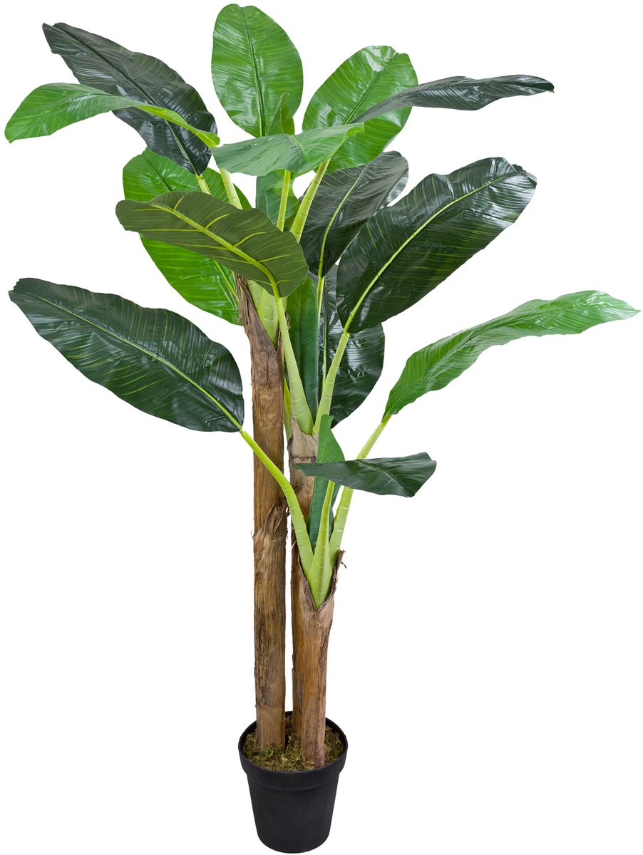 Kunstmatige Valse Bananenboom Plant Decoratie Bininnen 190cm Echt Hout DECOVEGO