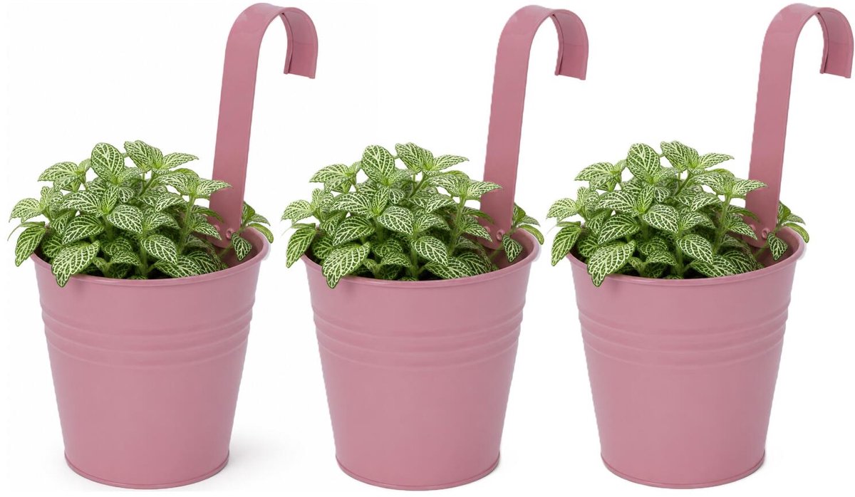 Progarden Bloempotje met haak - 3x - plantenbak zink met ophanghaak - roze - 20 x 13 x 26 cm - ophangbaar- Balkon/schutting plantenpot