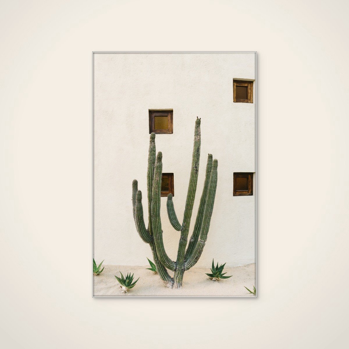 Akoestisch schilderij - 80 x 120 cm - Desert Cactus Garden van Bethany Young - Natuurlijke wanddecoratie - wit textielframe