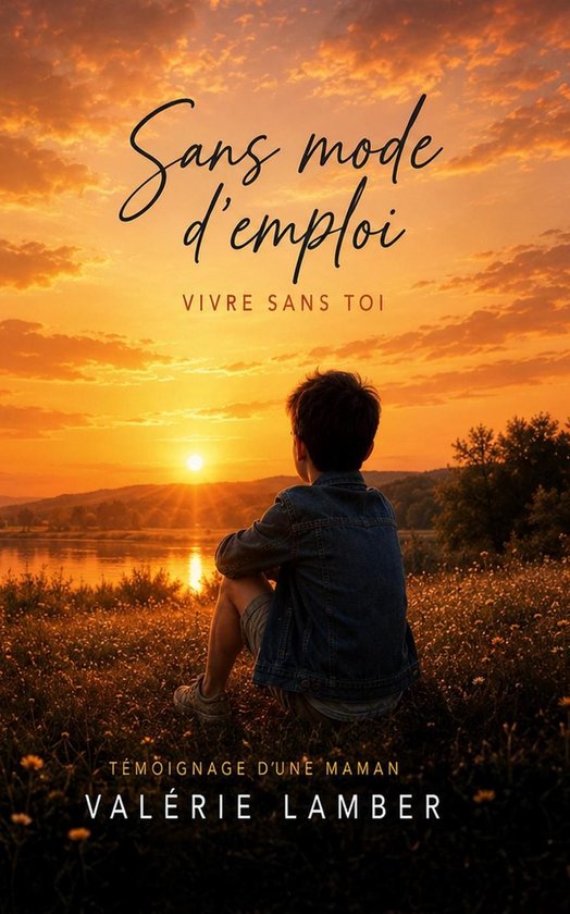 Jeune garçon en veste en jean regarde le coucher du soleil, 'Sans mode d'emploi Vivre sans toi' est inscrit.