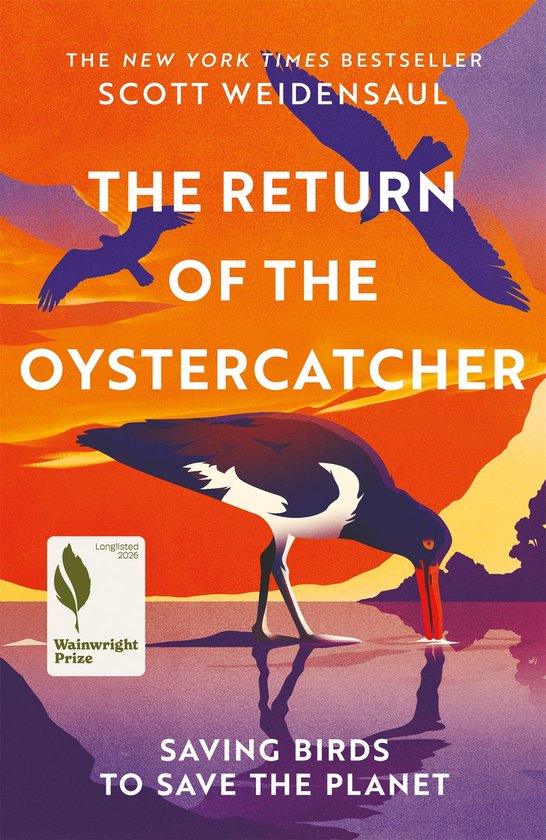 The Return of the Oystercatcher - cover