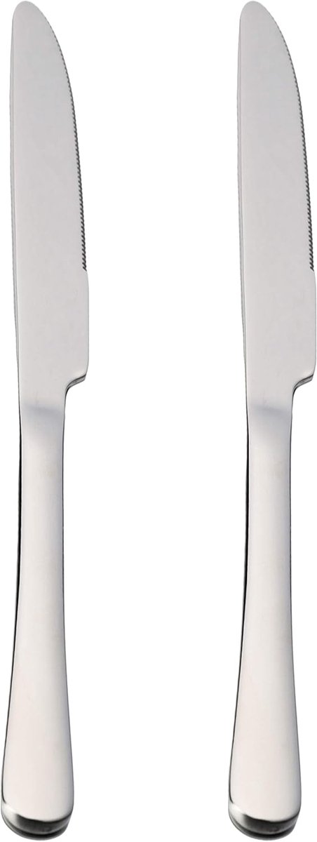 SnelShoppen - 2 Tafelmessen Roestvrij Staal 22,5 x 2,05 cm - Modern Bestek voor Feesten, Keuken en Camping - Duurzaam en Makkelijk te Reinigen